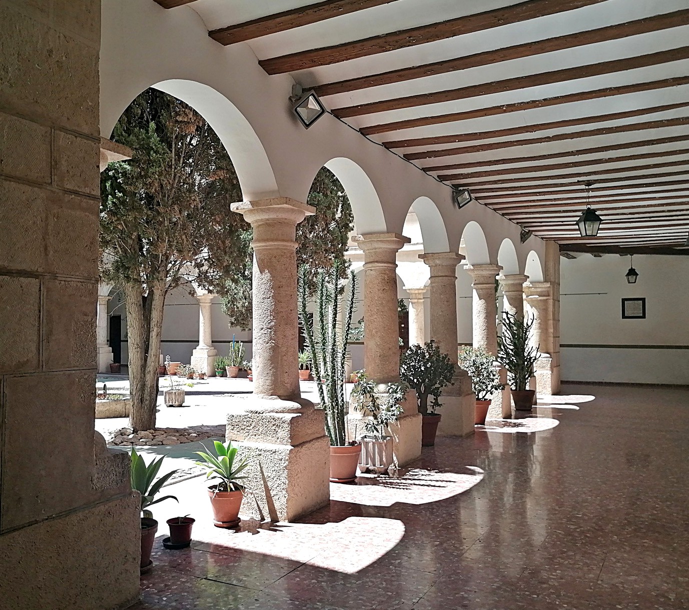 Inauguración Bienal 2024 y Cena de Gala